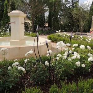 Aménagement d'un jardin provencal