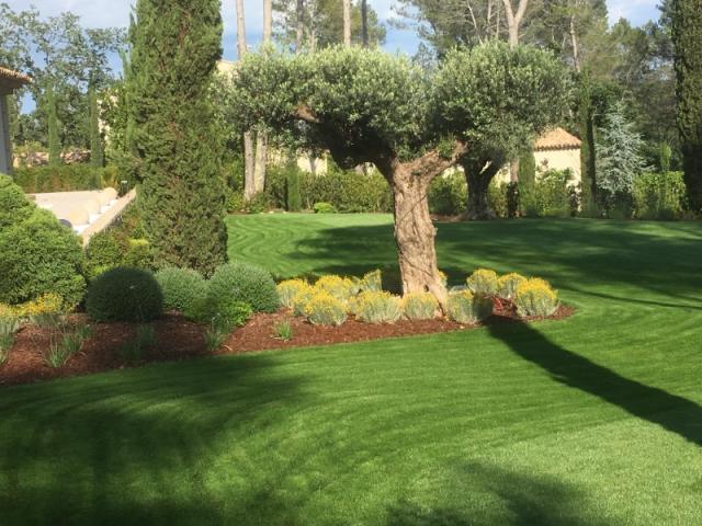 Aménagement d'un jardin provencal