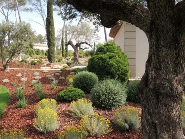 Aménagement d'un jardin provencal