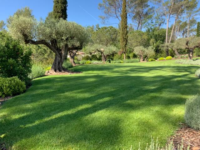 Aménagement d'un jardin provencal