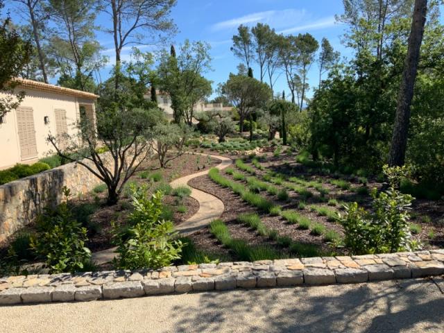 Aménagement d'un jardin provencal