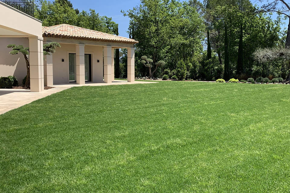 jardin création